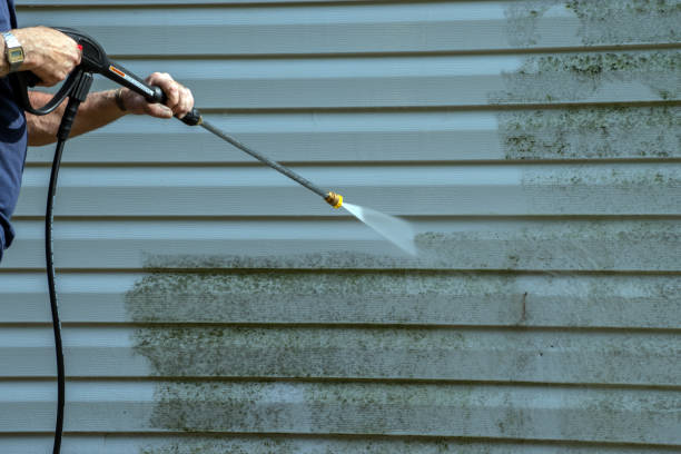 Best Roof Cleaning and Mildew Removal in Solvay, NY